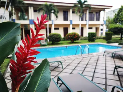 a red plant in front of a swimming pool at Hotel Monte Real in Fortuna