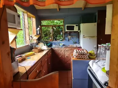 a kitchen with a counter and a refrigerator at Finca Terra Viva in Monteverde Costa Rica