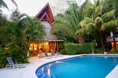 a swimming pool in front of a house with palm trees at Living Hotel in Nosara