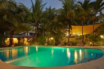 a swimming pool at night with palm trees at Living Hotel in Nosara