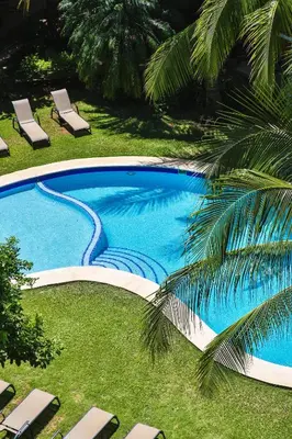 a swimming pool with lounge chairs and a palm tree at Villas Macondo in Tamarindo