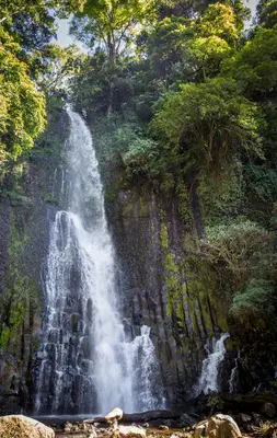 a waterfall on the side of a rocky cliff at Mangifera Hostel in Grecia