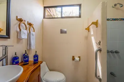 a bathroom with a toilet and a sink and a shower at Hotel Nepenthe B&B in El Castillo de La Fortuna