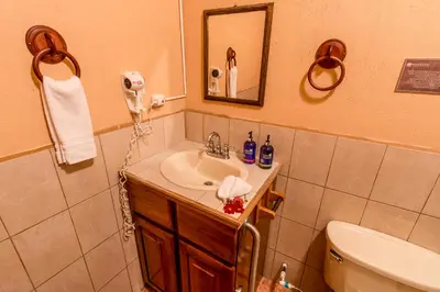 a bathroom with a sink and a mirror and a toilet at Hotel Nepenthe B&B in El Castillo de La Fortuna