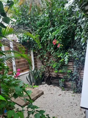 a garden with flowers and plants next to a building at Casa SILURI UP in Santa Teresa Beach