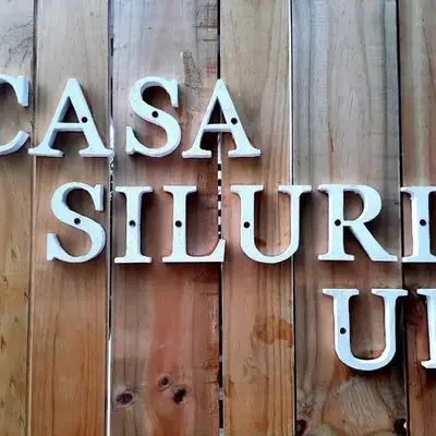 Casa SILURI UP