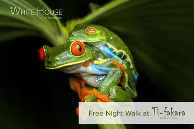a frog sitting on top of a green plant at Noah's Forest by Tifakara in Fortuna