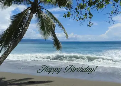 a palm tree on the beach with the words happy birthday at Cabinas D’Val in Uvita