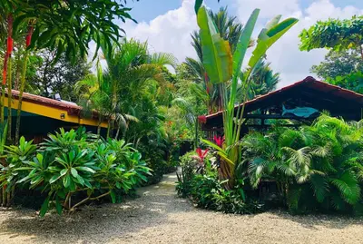 a garden with trees and plants and a house at Cabinas D’Val in Uvita
