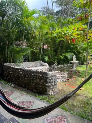 a hammock in a garden with trees and plants at Woodstock Hostel in Sámara