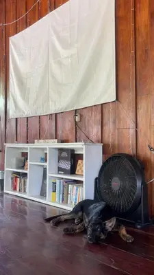 a dog laying on the floor next to a fan at Woodstock Hostel in Sámara