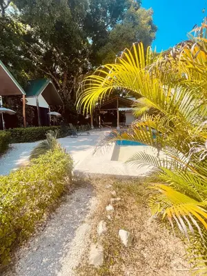 a palm tree in front of a house at Villas Cabuya Beach & Jungle in Cabuya