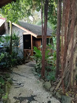 a cabin in the woods with trees in front of it at Casa el Colibrí in Parrita