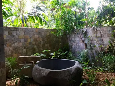 a large stone tub in the middle of a garden at Villa Nimbu in Mal País