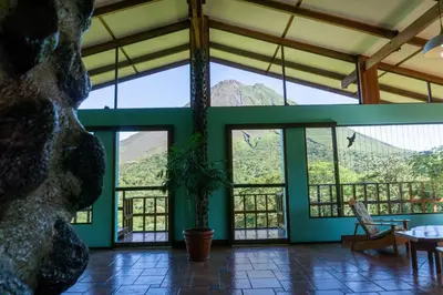a room with green walls and windows with a table and a plant at Arenal Observatory Lodge & Trails in Fortuna