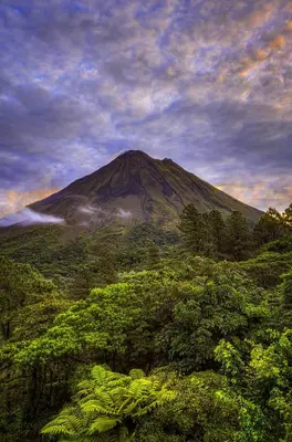 a mountain in the middle of a field with trees at Arenal Observatory Lodge & Trails in Fortuna