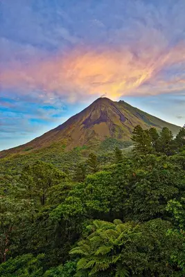 a mountain in the distance with trees in the foreground at Arenal Observatory Lodge & Trails in Fortuna