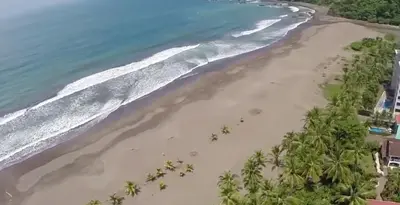 an aerial view of a beach with palm trees at 3Rooms Amaizing Beach Studio in Jacó