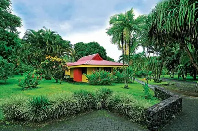 a house in the middle of a garden with palm trees at Hotel Arenal Country Inn in Fortuna