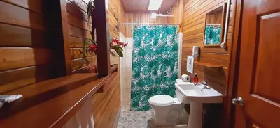 a bathroom with a toilet and a sink and a shower at Jardin entre Montañas in Bijagua