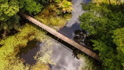 an aerial view of a train bridge in the jungle at Maquenque Lodge in Boca Tapada