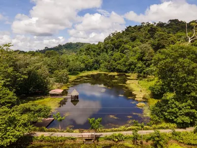 an aerial view of a lake in a forest at Maquenque Lodge in Boca Tapada