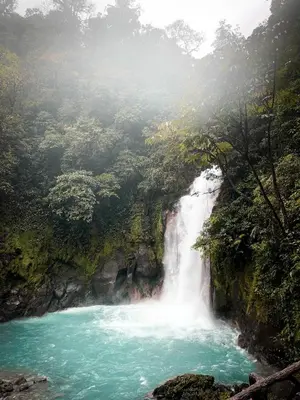 a waterfall in the jungle next to a river at Alouatta Guesthouse en Las Catalinas - Beachfront GUESTHOUSE for 6 people in Playa Danta