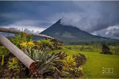a view of a mountain with plants in the foreground at Lisa Loft Boutique Apartment in Fortuna