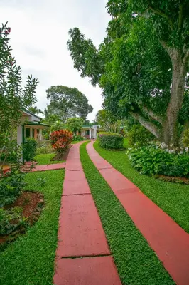 a red path in a garden with trees and houses at Hotel La Rosa de America in Alajuela City