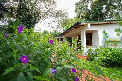 a garden in front of a house with purple flowers at Hotel La Rosa de America in Alajuela City