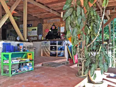 a coffee shop with a green table and a plant at Cascada Verde Eco Lodge & Hostel in Uvita