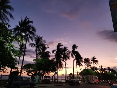 a group of palm trees on a street with a sunset at Puntarenas Bed & Coffee by Aldea in Puntarenas