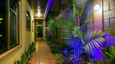 a hallway with plants on the side of a building at Sol y Luna Apartments in Fortuna