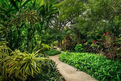 a path through a garden with plants and trees at Capitán Suizo Beachfront Boutique Hotel in Tamarindo