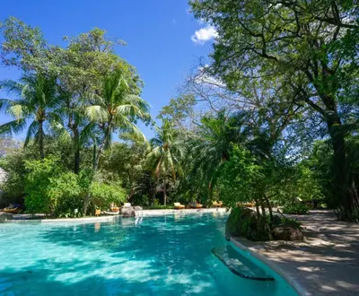 a swimming pool with blue water and palm trees at Capitán Suizo Beachfront Boutique Hotel in Tamarindo