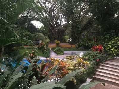 a garden with a bunch of flowers and stairs at Trapp Family Country Inn in San Antonio