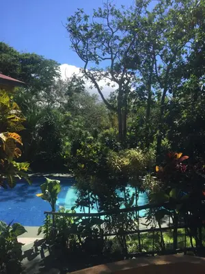 a pool in the middle of a garden with trees at Trapp Family Country Inn in San Antonio
