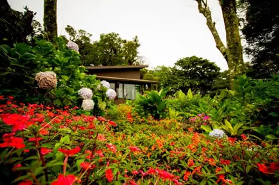 a garden with flowers and a house in the background at Trapp Family Lodge Monteverde in Monteverde Costa Rica