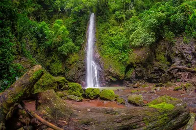 a waterfall in the middle of a forest at Xandari Resort & Spa in Alajuela City