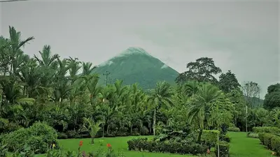 a mountain in the distance with a field of palm trees at Hotel Villas Vilma in Fortuna