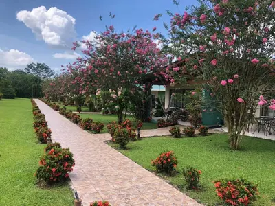 a pathway with pink flowers and trees in a yard at Hotel Villas Vilma in Fortuna