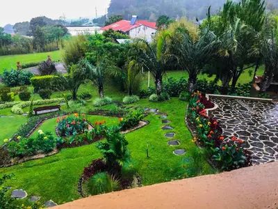an aerial view of a garden with flowers and plants at Casas del Toro in Monteverde Costa Rica