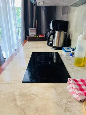 a kitchen counter with a sink and a stove at Apartamento Don Jarvey II in Monteverde Costa Rica