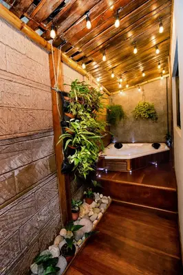 a bathroom with a tub and plants in it at Casa Suculenta ,Monteverde con Jacuzzi Privado y Lavandería in Monteverde Costa Rica