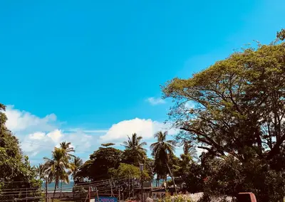 a blue sky with palm trees on a beach at HOTEL Cabinas JACOMAR in Jacó
