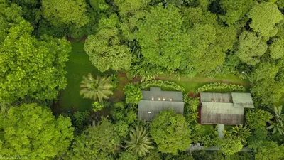 an overhead view of a house in the middle of a forest at Chilamate Rainforest Eco Retreat in Puerto Viejo