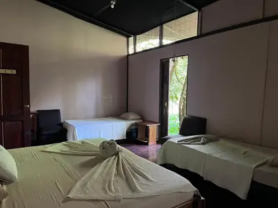 a room with two beds and a window at Chilamate Rainforest Eco Retreat in Puerto Viejo