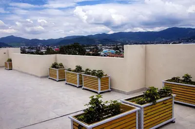 a row of plotted plants on a rooftop at Lujoso condominio con lavadora y secadora, S. José in San José