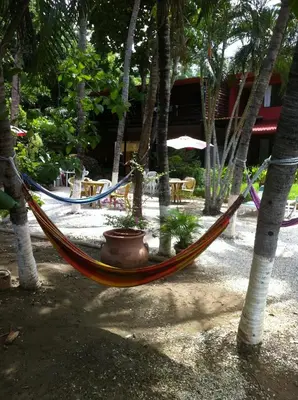 a hammock in a resort with palm trees at Hotel Laguna del Cocodrilo in Tamarindo