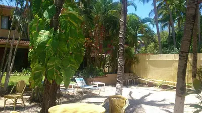 a patio with chairs and tables and palm trees at Hotel Laguna del Cocodrilo in Tamarindo